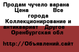 Продам чучело варана. › Цена ­ 15 000 - Все города Коллекционирование и антиквариат » Другое   . Оренбургская обл.